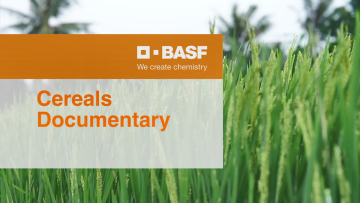 Cereals Documentary