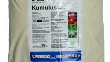Kumulus® 80% DF