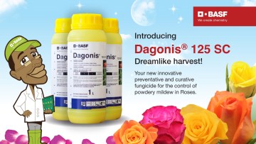 New Product | Dagonis®