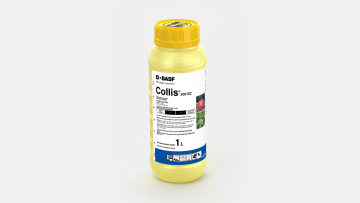 Collis® 300 SC