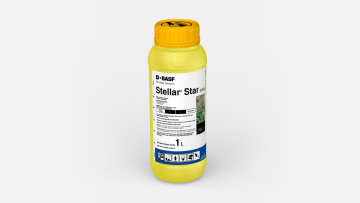 Stellar® Star