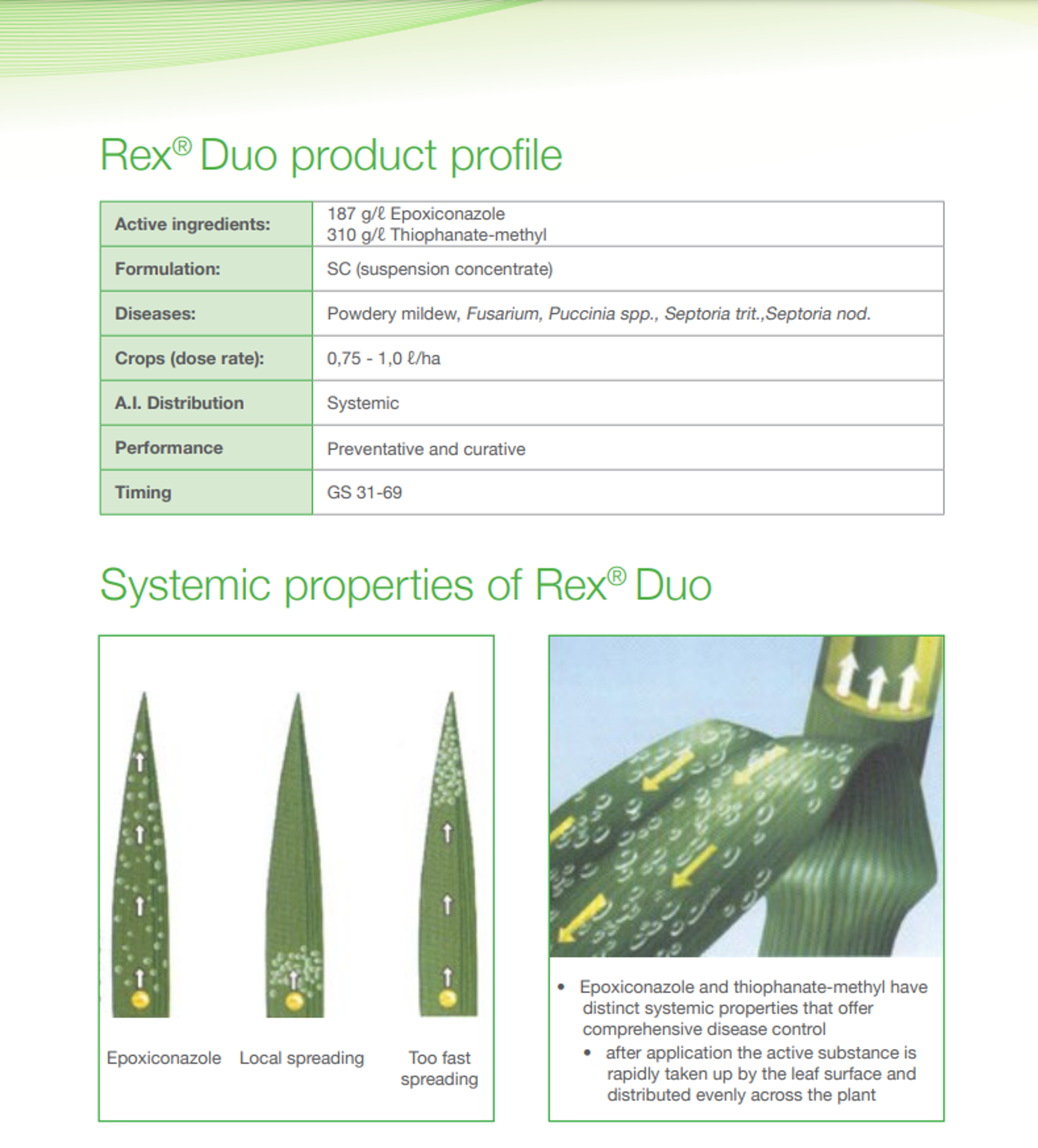 Rex® Duo profile